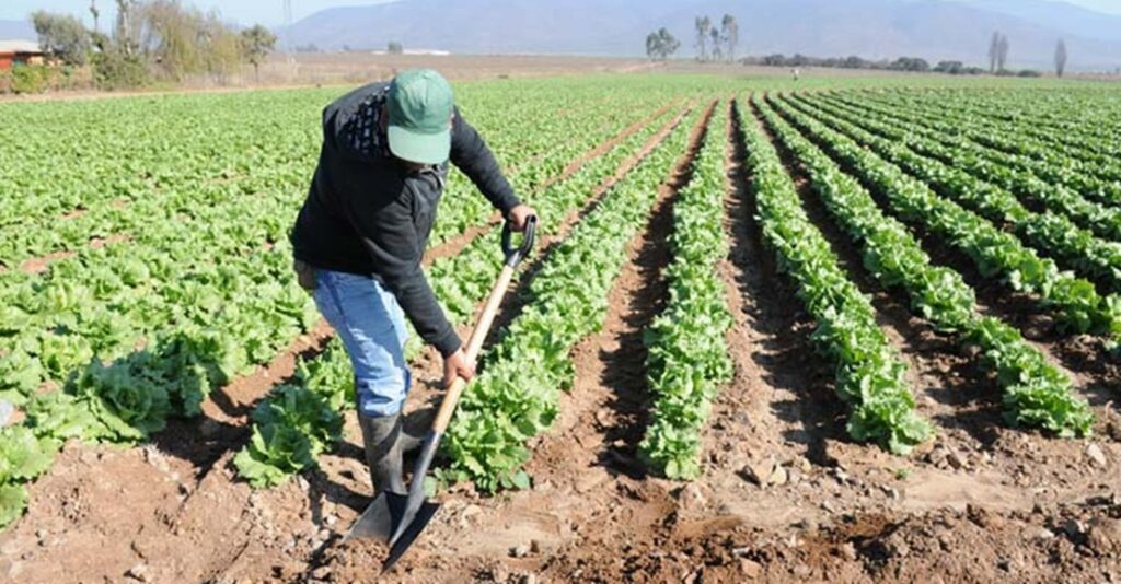 LA NUEVA NORMATIVA EN MATERIA DE REGISTRO DE LA JORNADA LABORAL TAMBIÉN AFECTARÁ A LOS AGRICULTORES.