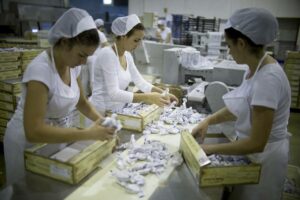 Grupo Albatros. Empledas de la industria de Turrones y Mazapanes, haciendo cajas de polvorones.