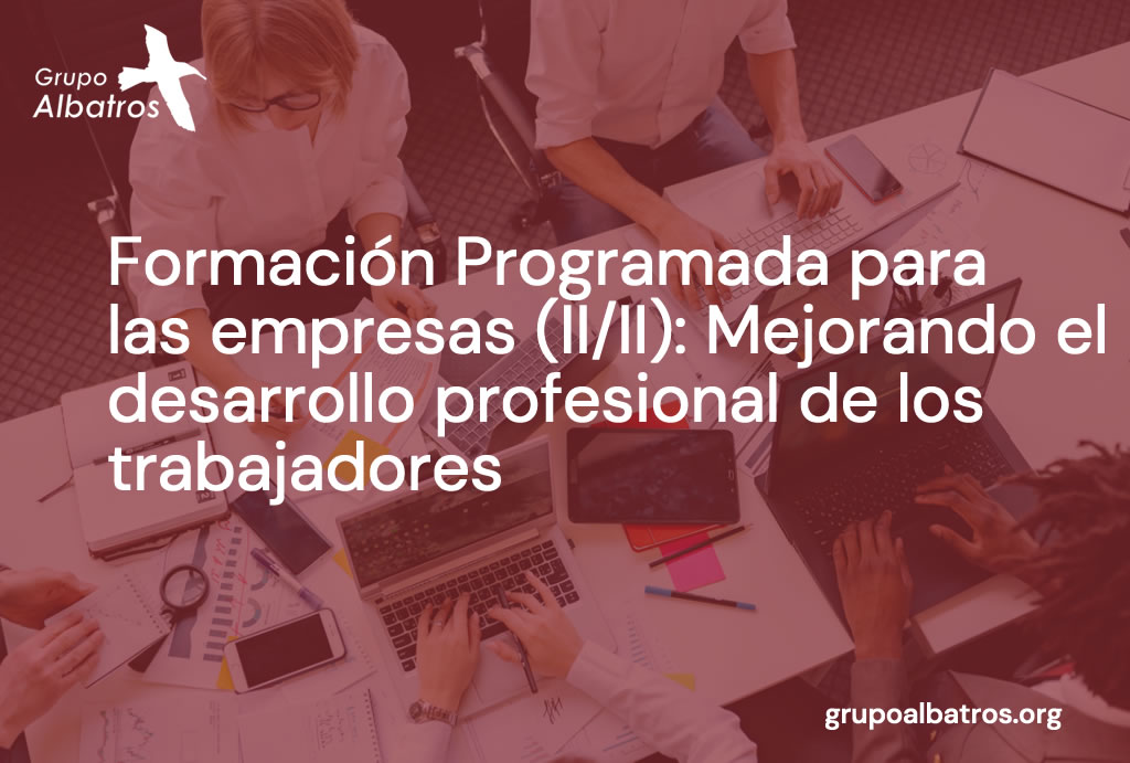 Formación programada para las empresas (II/II): Mejorando el Desarrollo Profesional de los Trabajadores