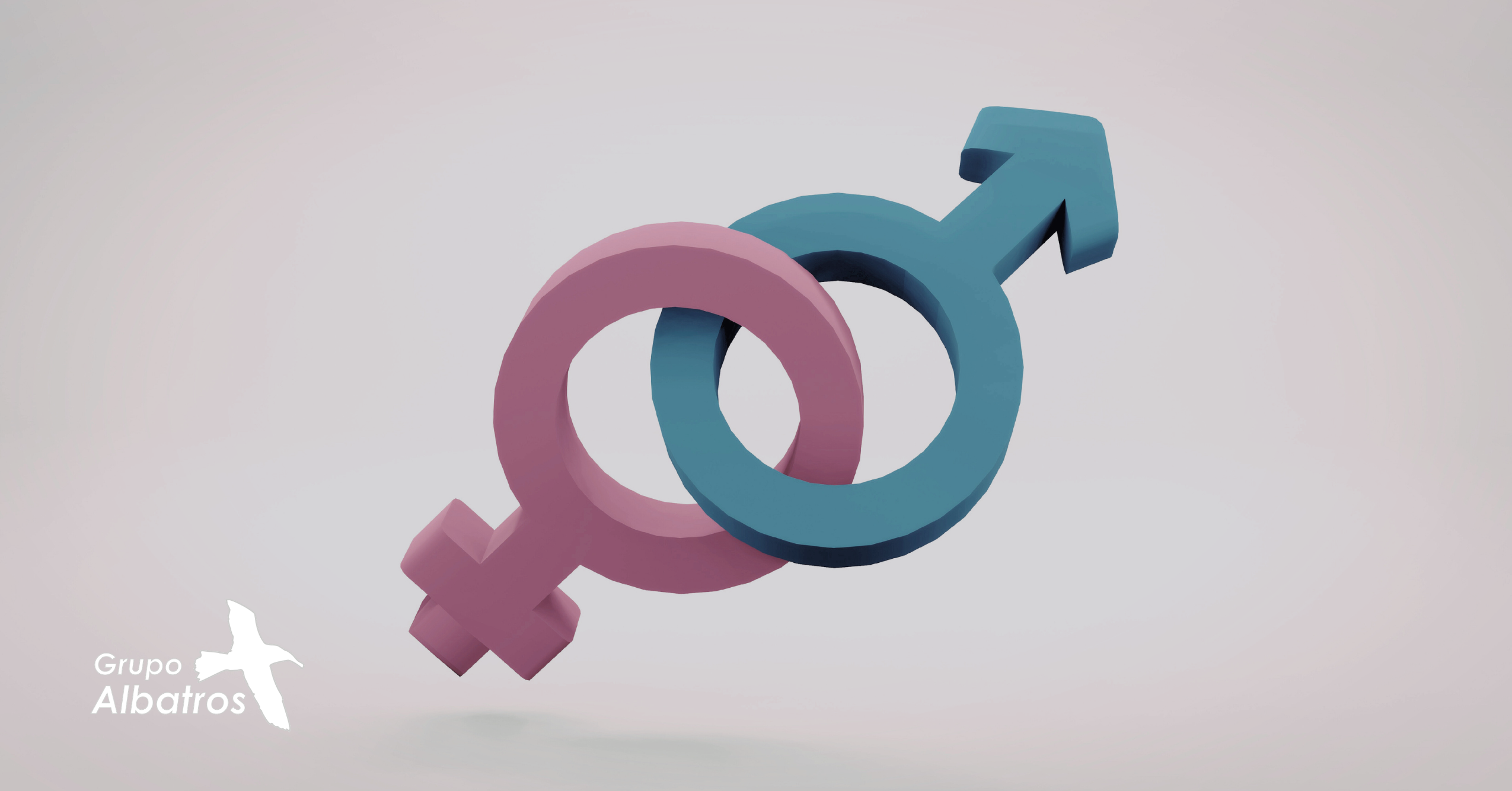 ¿Plan de igualdad obligatorio si tienes más de 50 empleados?